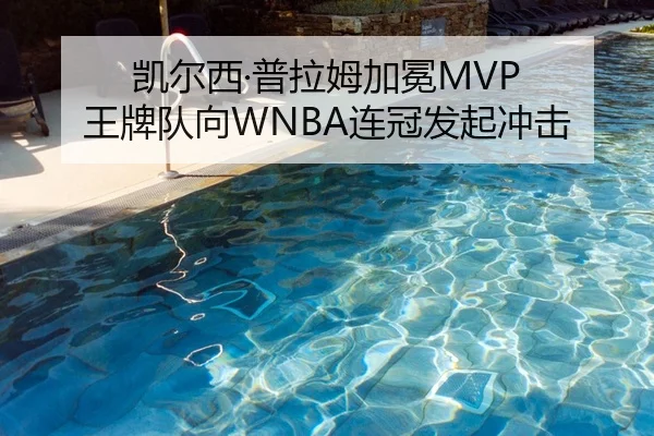 凯尔西·普拉姆加冕MVP 王牌队向WNBA连冠发起冲击
